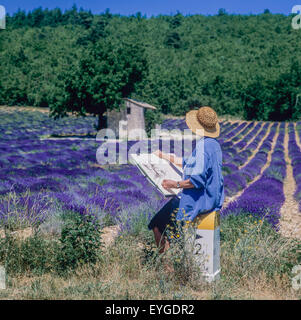 Donna di mezza età disegno casa di pietra in fioritura campo di lavanda, Vaucluse Provence, Francia Foto Stock