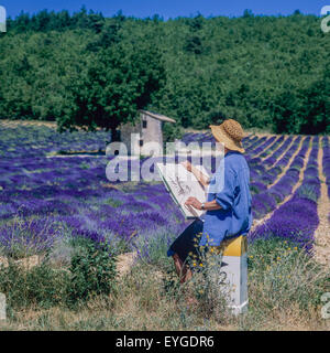 Donna di mezza età disegno casa di pietra in fioritura campo di lavanda, Vaucluse Provence, Francia Foto Stock