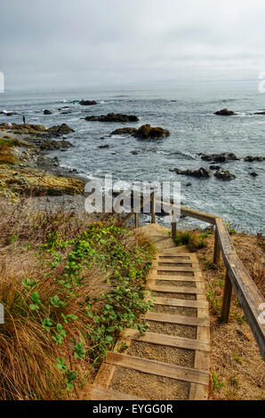 Scalini per scendere in spiaggia lungo la Sonoma Coast della California Foto Stock