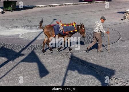 Un uomo con un asino che attraversa la strada, la bandiera che getta ombre Oia, l'asino Santorini, l'isola greca, Grecia economia Foto Stock