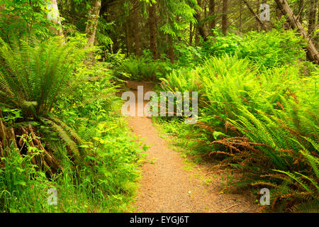 Fort a mare Trail, memoriale nazionale forte di Clatsop, Lewis e Clark National Historic Park, Oregon Foto Stock