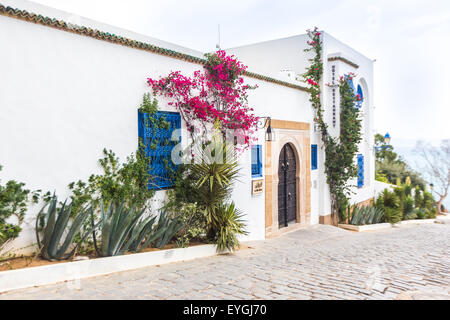 Sidi Bou Said - tipico edificio con pareti bianche, porte e finestre blu, Tunisia Foto Stock