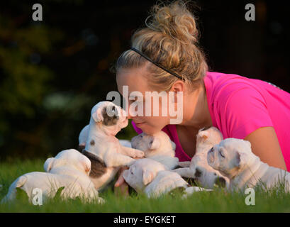 Donna che gioca in erba con la cucciolata di cuccioli Foto Stock