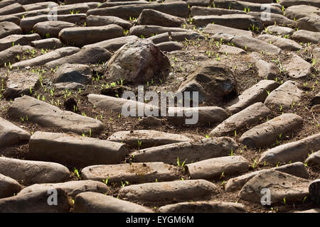 Etiopia, sud ovest dell Etiopia, Valle dell'Omo, Mursiland meridionale, centro della benna kulugto (piattaforma di pietra); Dirikoro Foto Stock