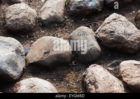 Sud ovest dell Etiopia, Valle dell'Omo, Mursiland meridionale, vista ravvicinata della numerazione su pietre; Dirikoro Foto Stock