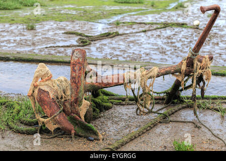 Un ancoraggio arrugginito con la bassa marea, Pin Mill porta, sul fiume Orwell, South Suffolk, East Anglia, Inghilterra, Gran Bretagna, Regno Unito. Foto Stock