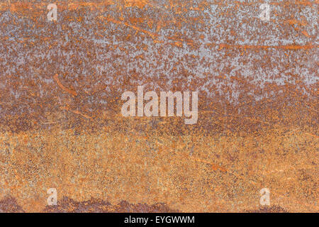 Vecchia piastra in lamiera piena di ruggine Foto Stock
