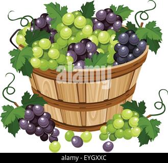 Cestello con nero e verde UVA. Illustrazione Vettoriale. Illustrazione Vettoriale