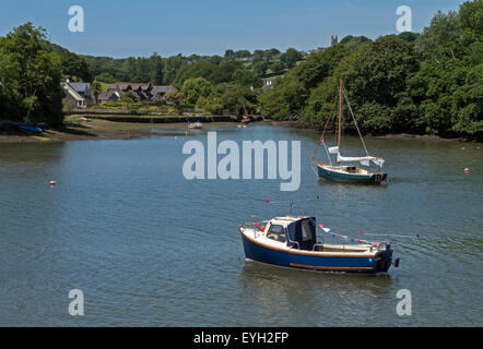 L'attraente Kingsbridge estuario, vicino alla città di Kingsbridge, Devon, Inghilterra Foto Stock