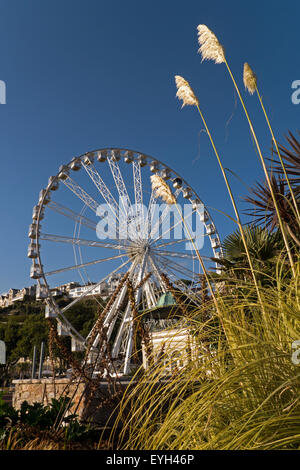 Il 60 metro alto Riviera Inglese ruota in Torquay, Tor Bay, South Devon, Inghilterra Foto Stock