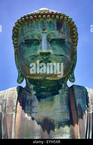 Il grande Buddha di Kamakura, una statua del Buddha Amida, noto come Daibutsu presso il Tempio Kotokuin a Kamakura vicino a Tokyo, Giappone Foto Stock