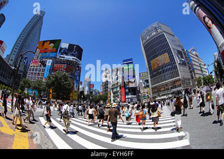 Le persone che attraversano l'attraversamento pedonale all'intersezione in Shibuya, Tokyo, Giappone Foto Stock