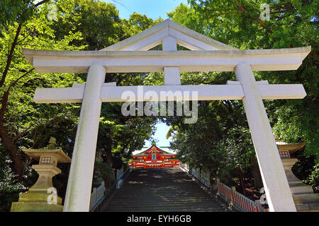 Torii cancello al Hie-Jinja sacrario scintoista, Tokyo, Giappone Foto Stock