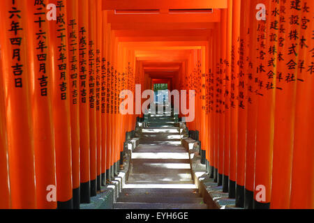 Red Torii Gate tunnel al Hie-Jinja sacrario scintoista, Tokyo, Giappone Foto Stock