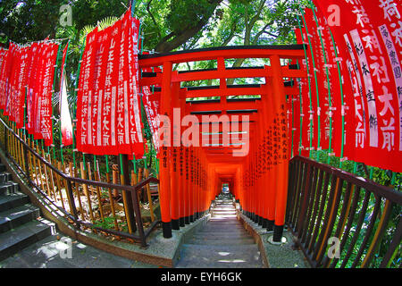 Red Torii Gate tunnel al Hie-Jinja sacrario scintoista, Tokyo, Giappone Foto Stock