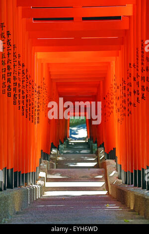 Red Torii Gate tunnel al Hie-Jinja sacrario scintoista, Tokyo, Giappone Foto Stock