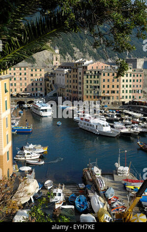 Porto di pesca di Camogli in Liguria, a nord-ovest dell'Italia. Foto Stock