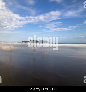 Surfisti sulla spiaggia in Kugenuma-Kaigan, nella prefettura di Kanagawa, Giappone Foto Stock