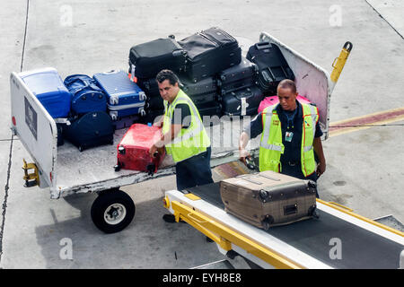 Miami Florida,Aeroporto Internazionale,mia,tarmac,grembiule,equipaggio di terra,movimentatori di bagagli,africani neri ispanici,uomo maschio,scanner,nastro trasportatore,l Foto Stock