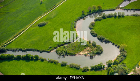 La rinaturazione, meandro del fiume Lippe, LIFE+ Progetto Lippeaue, Hamm, distretto della Ruhr, Nord Reno-Westfalia, Germania Foto Stock