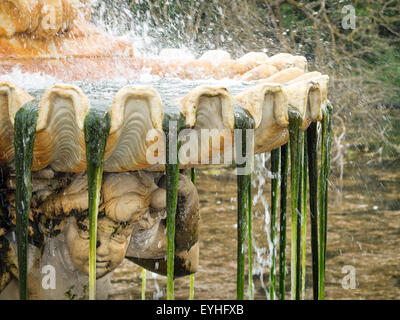 Dettaglio della torrefazione Tazza fontana nel giardino italiano in Kensington Gardens , London REGNO UNITO Foto Stock