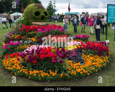 Letto di fiori il giorno della dalia da Birmingham City Council a RHS Cheshire Flower Show Tatton Park Inghilterra Foto Stock