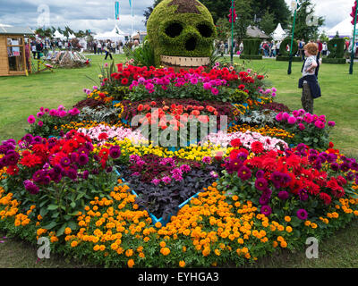 Letto di fiori chiamato il giorno della dalia da Birmingham City Council a RHS Cheshire Flower Show Tatton Park Inghilterra Foto Stock