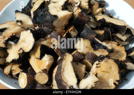 Beinwellwurzel, Symphytum; officinale Foto Stock