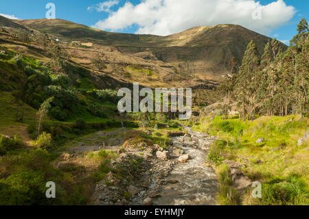 Vista dal diavolo del naso del treno, Alausi per Sibambe, vicino Riobamba, Ecuador Foto Stock