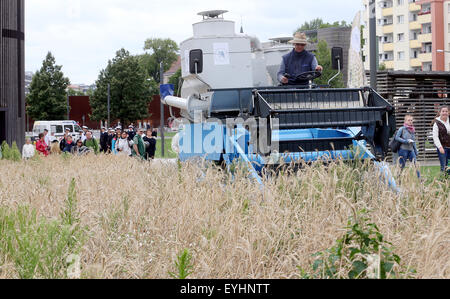 Berlino, Germania. Il 30 luglio, 2015. Una mietitrebbia lavora su un campo di segala nella ex morte striscia tra le sezioni del muro di Berlino a Bernauer Strasse a Berlino, Germania, 30 luglio 2015. Il campo è un simbolo di vita e di superare la paura e la violenza. Foto: WOLFGANG KUMM/DPA/Alamy Live News Foto Stock