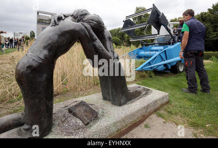 Berlino, Germania. Il 30 luglio, 2015. Una mietitrebbia lavora su un campo di segala nella ex morte striscia tra le sezioni del muro di Berlino a Bernauer Strasse a Berlino, Germania, 30 luglio 2015. Il campo è un simbolo di vita e di superare la paura e la violenza. Foto: WOLFGANG KUMM/DPA/Alamy Live News Foto Stock