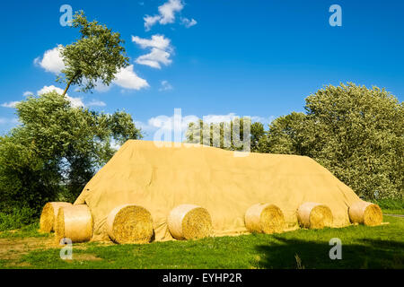 Oggetto pila di balle di paglia, Brandeburgo, Germania Foto Stock