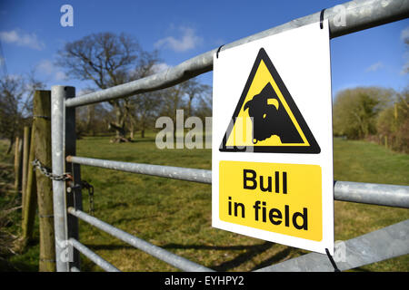 Bull nel campo Segnale di avvertimento, Gran Bretagna, Regno Unito Foto Stock