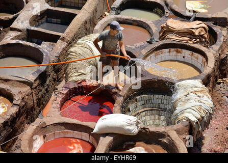 Tanney Chouwara, concerie, il più grande in Fez uno dei più suggestivi siti e odori nella Medina di Fez, Marocco, Africa del Nord Foto Stock