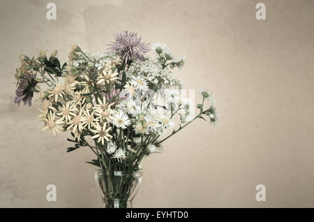 bunch of wildflowers retro style Foto Stock