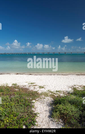 CALUSA spiaggia di Bahia Honda parco dello stato di Bahia Honda Key Florida USA Foto Stock