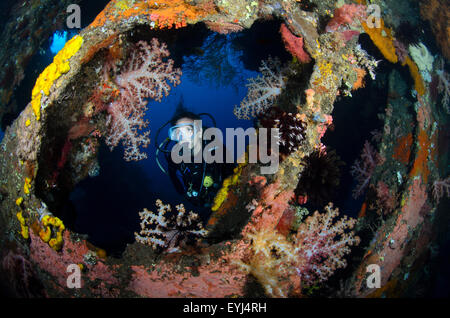 Un subacqueo guarda attraverso un corallo incrostati di finestra sul relitto Liberty, Tulamben, Bali, Indonesia, Oceano Pacifico Foto Stock