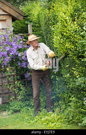 Giardino di taglio hedge con un motore a benzina tagliasiepi Foto Stock