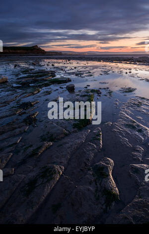 Wet rocce calcaree riflettono la luce di un tramonto a Kilve Beach, Somerset. Foto Stock