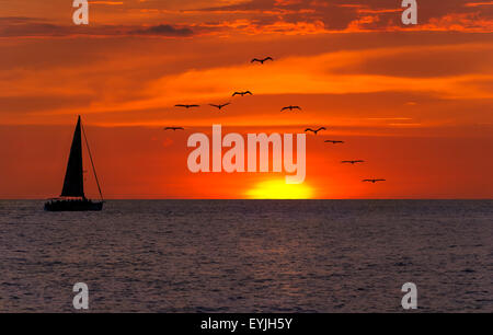 Barca a vela al tramonto con fantasia a profilarsi in barca a vela lungo il suo cammino contro una vivida tramonto colorato con gli uccelli in volo Foto Stock