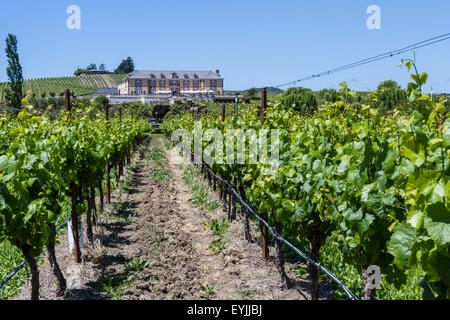 Napa Valley, California - 12 Maggio :bel castello Domaine Carneros un luogo per degustare ottimi vini, 12 maggio 2015 Napa Valley, Cali Foto Stock