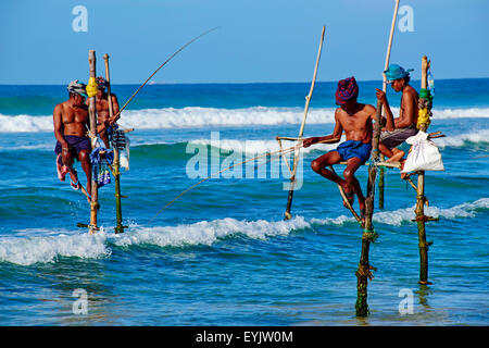 Sri Lanka, della Provincia Meridionale, South Coast Beach, Weligama beach, Stilt pescatori sulla costa Foto Stock