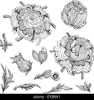 Doodle vettore nero fiori romantici e vignette isolato su sfondo bianco per matrimoni, eventi, scheda print design Illustrazione Vettoriale