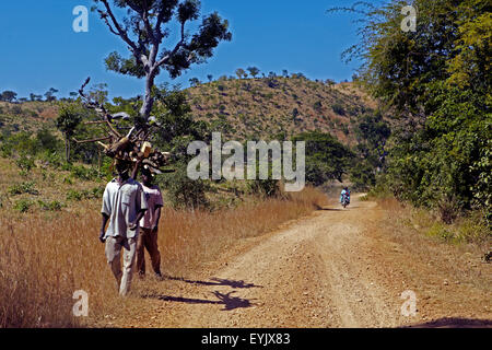 In Africa, in Camerun, estremo Nord provincia, Rhumsiki Zona villaggio Foto Stock