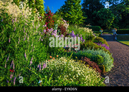 Confine erbacee sotto la terrazza della struttura Bowood House nel Wiltshire. Foto Stock