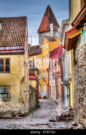 Città vecchia di Tallinn street, Estonia. HDR (High Dynamic Range) immagine Foto Stock