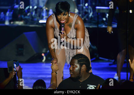 Philadelphia, Pennsylvania, USA. 31 Luglio, 2015. Premiato il cantante-cantautore, attrice e autore, fantasia, effettuando in corrispondenza dell centro musicale "l'essenza del divertimento" Concerto estivo serie 2015 © Ricky Fitchett/ZUMA filo/Alamy Live News Foto Stock