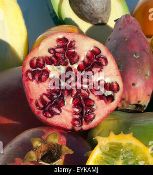 Granatapfel, Punica granatum, Exotische Frucht, exotisch, Suedfrucht, Foto Stock