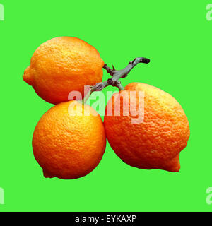 Limone; Limone, Rosso