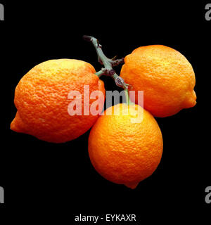 Limone; Limone, Rosso
